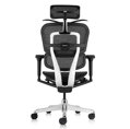 Ergonomická  kancelárska stolička ERGOHUMAN 2 ULTRA