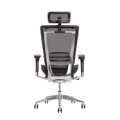 LACERTA - ergonomické kancelárska kreslo