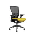 Merens BP - ergonomické kreslo