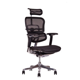 SIRIUS Q 24 MESH - Ergonomická kancelárska stolička 