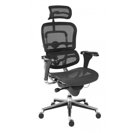 Ergohuman - moderná ergonomická stolička 