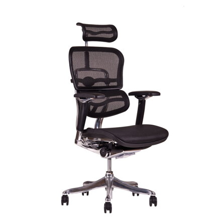  SIRIUS Q24 MESH - ergonomické kancelárske  kreslo
