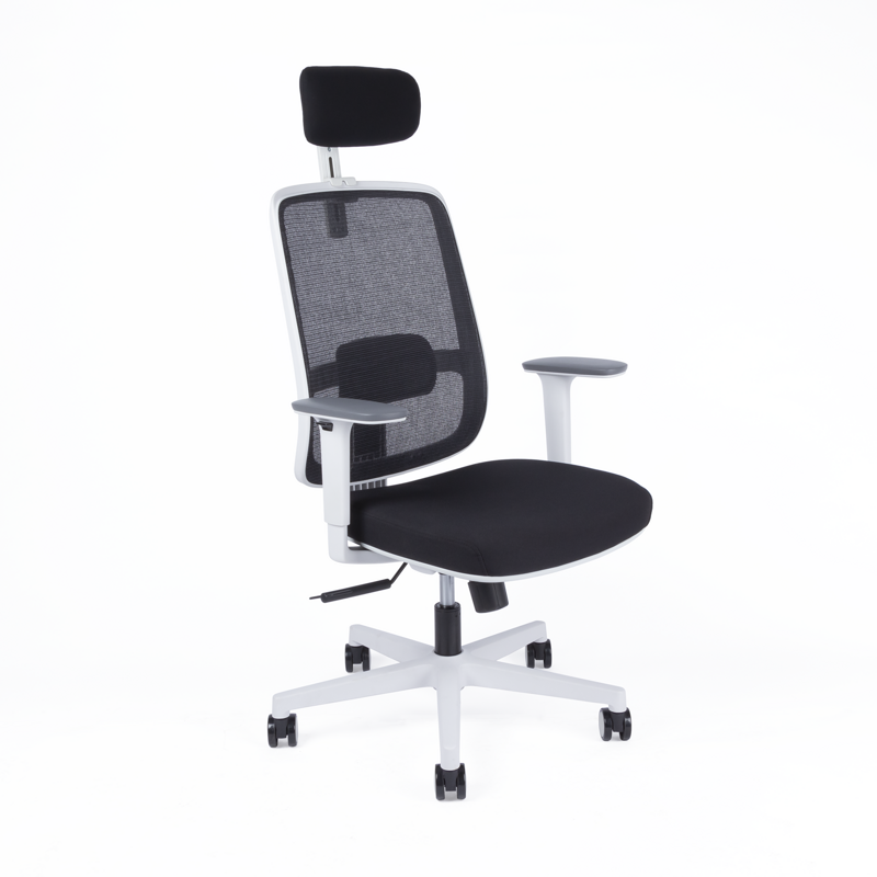 CANTO WHITE SP ergonomická kancelárska stolička s opierkou hlavy 