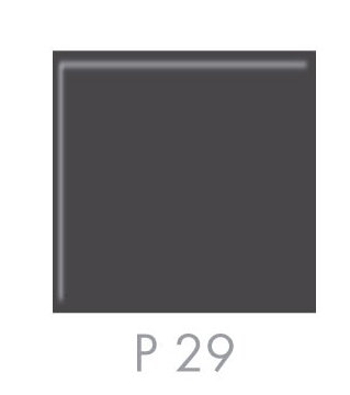 plast  layer -P 29